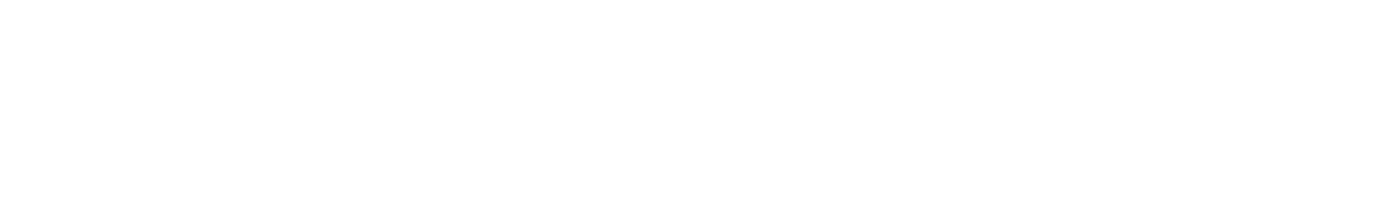 Bernexpo